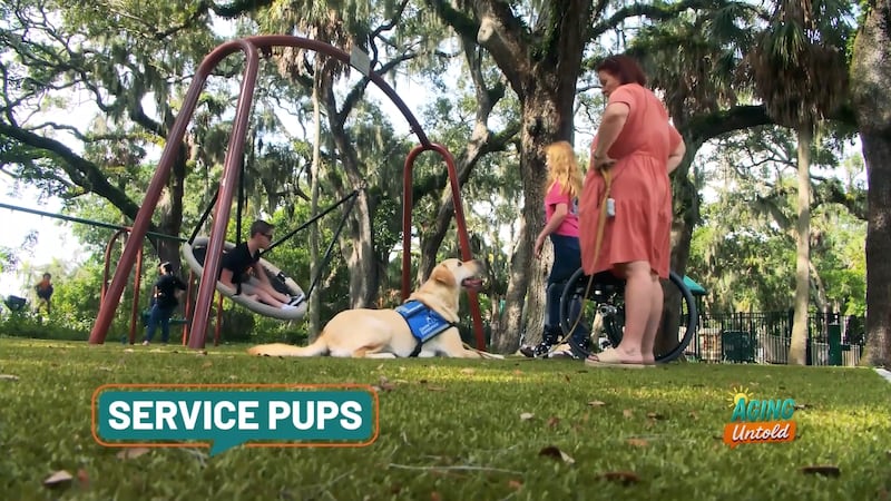 An organization is working to get more pups with a purpose to people who need service dogs.
