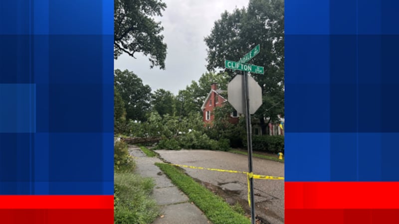 A storm knocked a large tree onto power lines on Greendale Avenue in Clifton, damaging a...