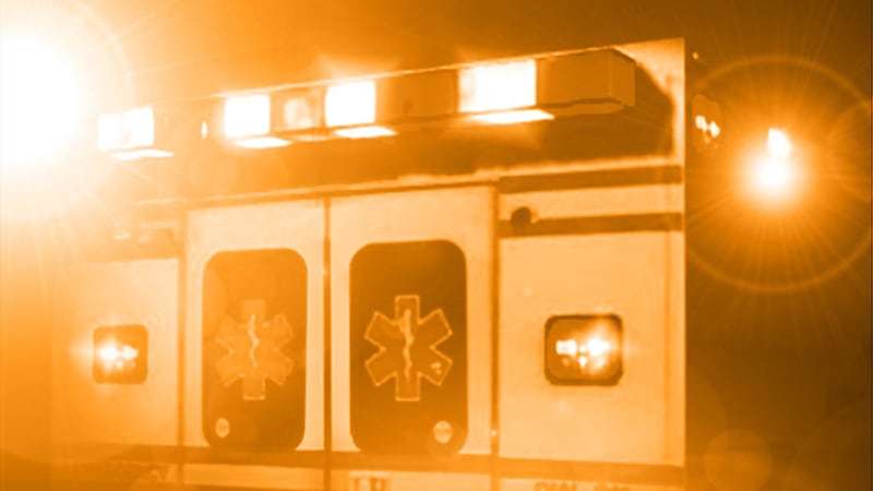 Paramedics gave the female Epinephrine instead of Zofran for her nausea, according to the...