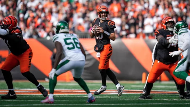 Cincinnati Bengals quarterback Joe Flacco (16) drops back to throw in the third quarter of the...