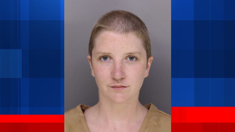 Alexandra Dalton is accused of sneaking a sword concealed in a cane into Cincinnati City Hall...