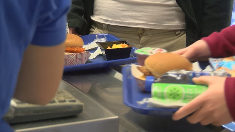 At Lakota Local Schools, parents can fill out an accounts restriction form for their kids.