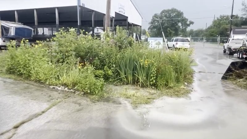 Rain gardens like the one at the Clermont County Fairgrounds are strategically placed in...