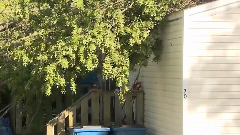 The storm didn’t just damage Tara Wischer’s home in Crittenden; it took it. And now, the life...