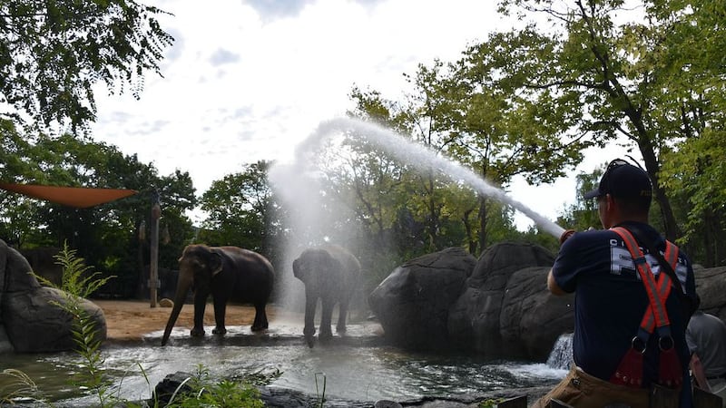 Its First Responders Week Sept. 11-17 at the Cincinnati Zoo!