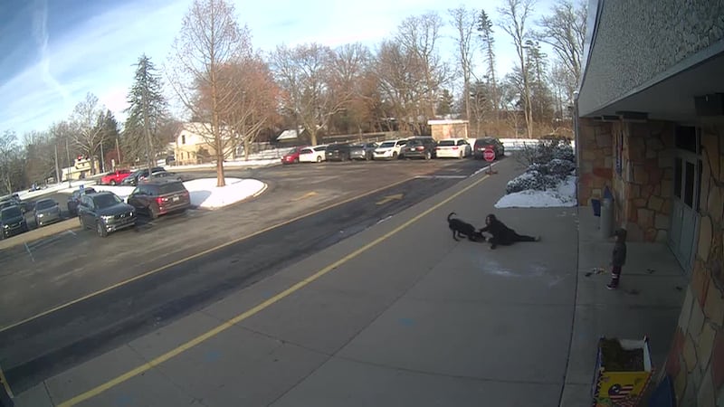 Whiteford Elementary School dog attack