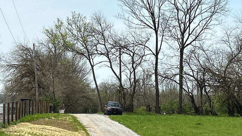 A man hunting for mushrooms near Beckelhymer Road in Washington Township found a human skull...