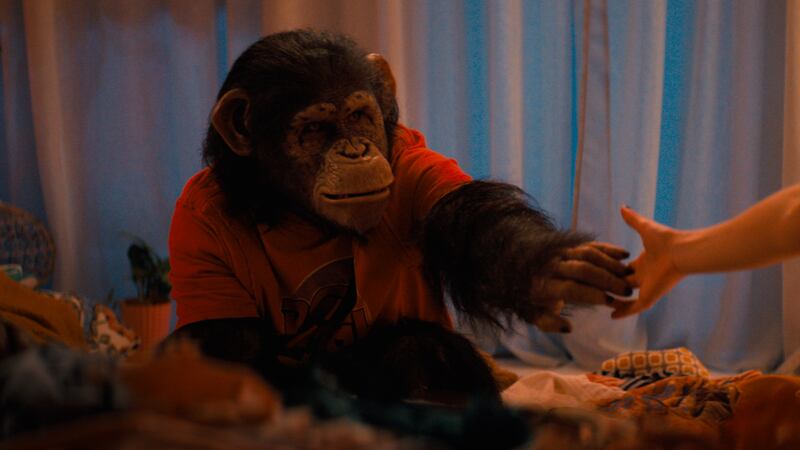 “Primate” releases in theaters everywhere January 9th courtesy of Paramount Pictures.