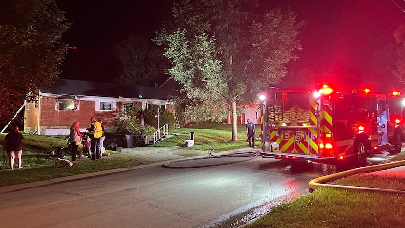 Five dogs were rescued, and a family was displaced after a fire broke out at a home in the...