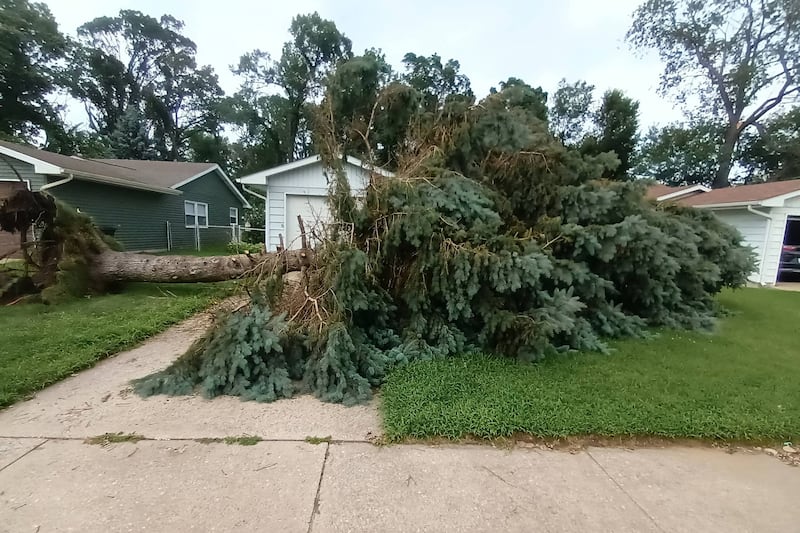 A downed tree in front of a house in Portage, Ind., on Tuesday, Aug. 18, 2026.