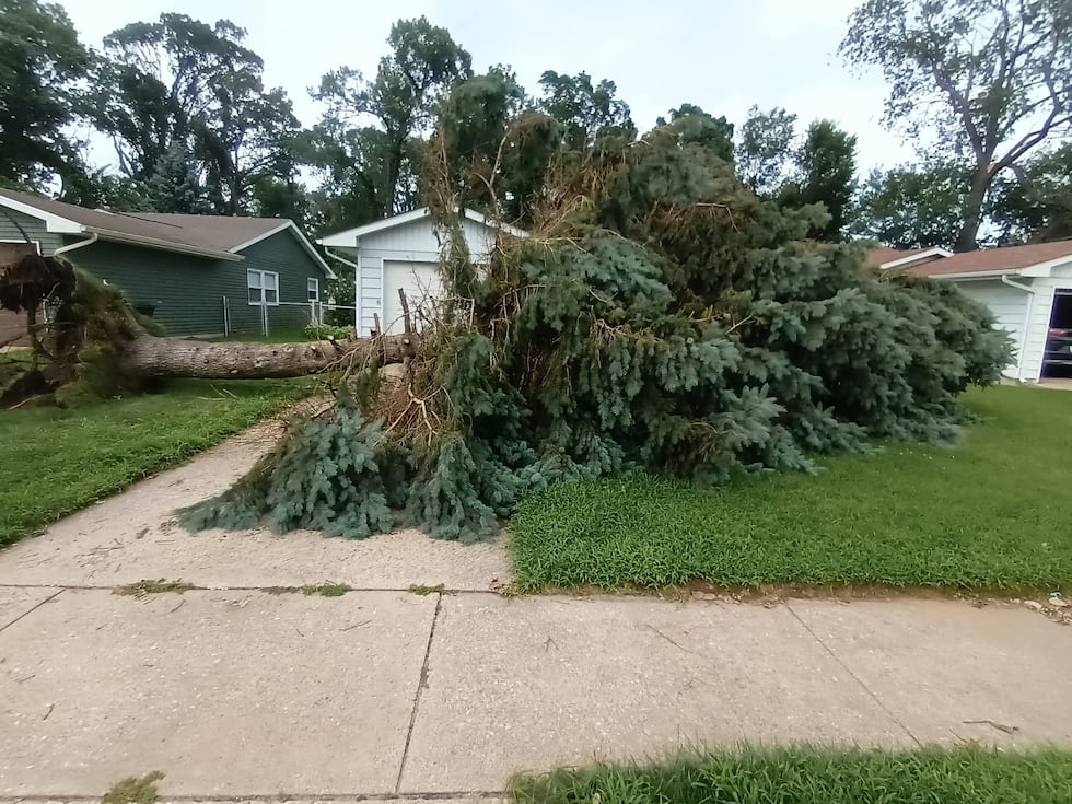 A downed tree in front of a house in Portage, Ind., on Tuesday, Aug. 18, 2026.