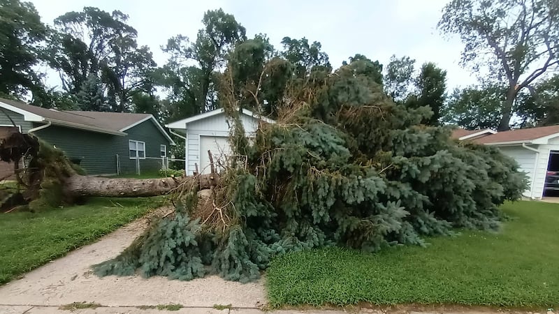 A downed tree in front of a house in Portage, Ind., on Tuesday, Aug. 18, 2026.