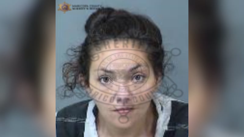 Amy Shellhammer, 32, was booked on one count of child abuse and one count of failing to comply...