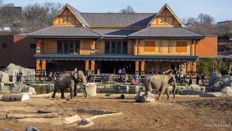 New habitats are now open at the Cincinnati Zoo.