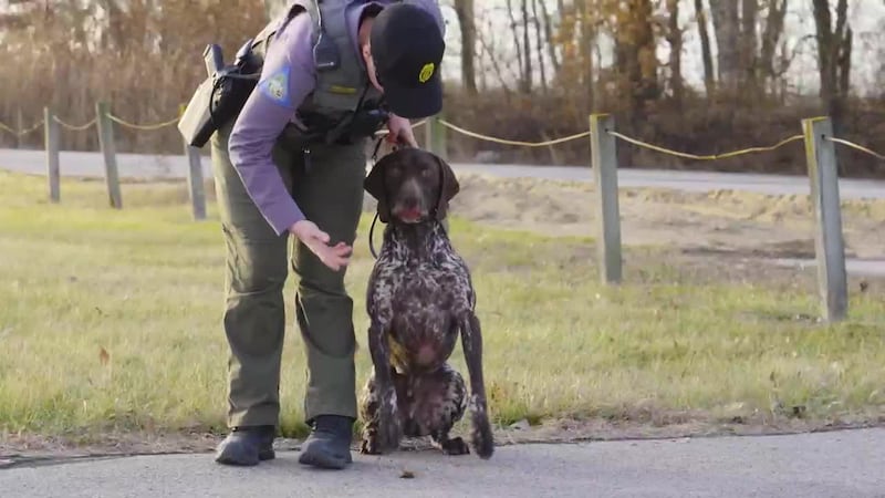 Retired police K-9s often get no pension or vet care support, leaving handlers to cover steep...
