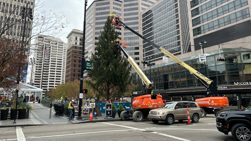 Duke Energy and 3CDC install the Holiday tree at Fountain Square on Nov. 15, 2025.
