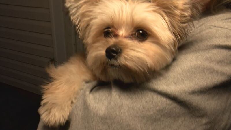 Penny returned home a few short hours after she was blown outside of her home by a tornado