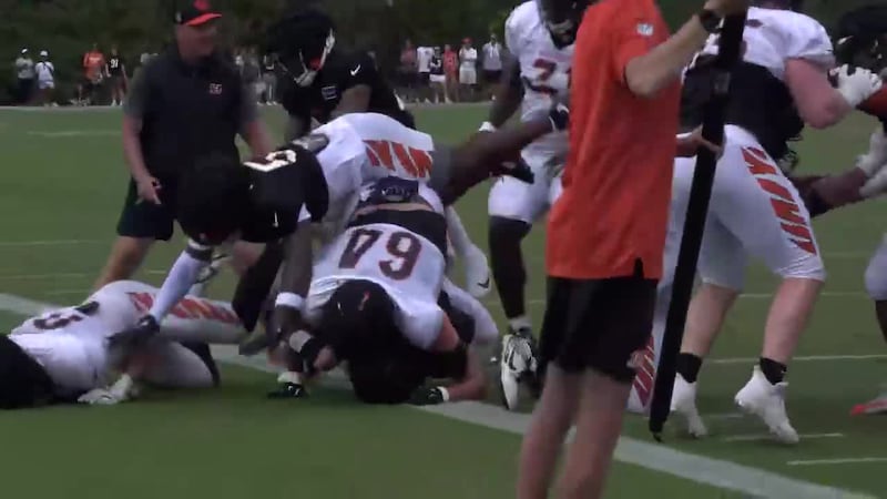 Teammates Logan Wilson and Ted Karras got into a scuffle that eventually led to more players...