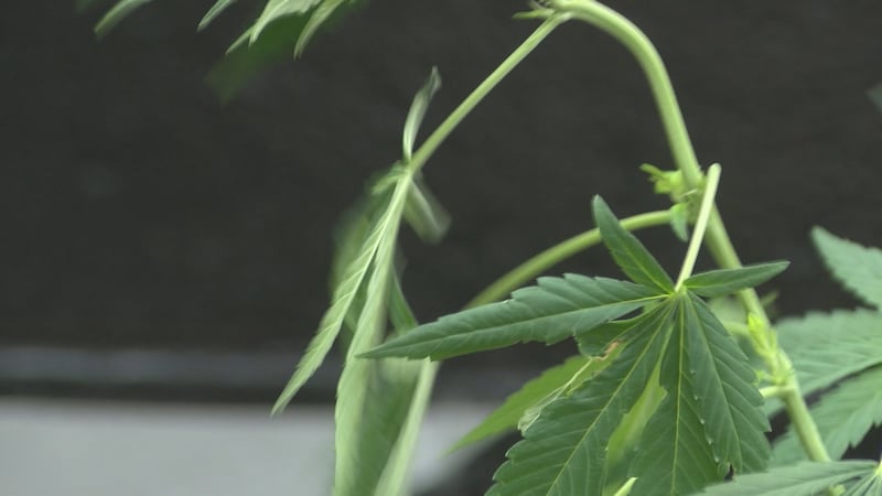 What Dec. 7 means for Ohio's Issue 2