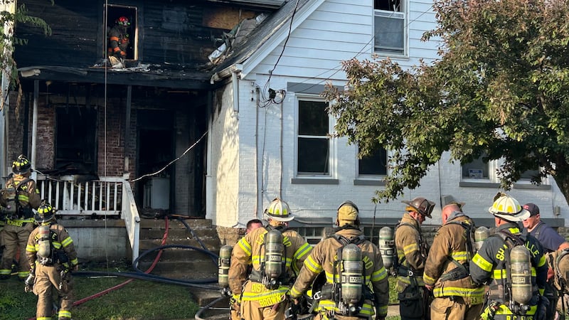 Three adults and two dogs were displaced after a large fire broke out at a Hamilton County...