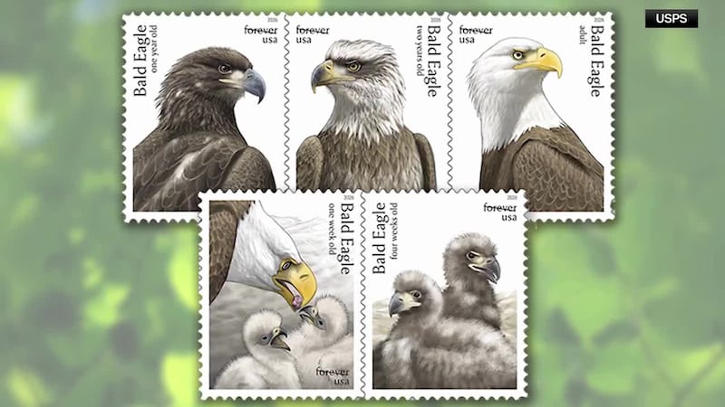 The eagle has long symbolized American values.