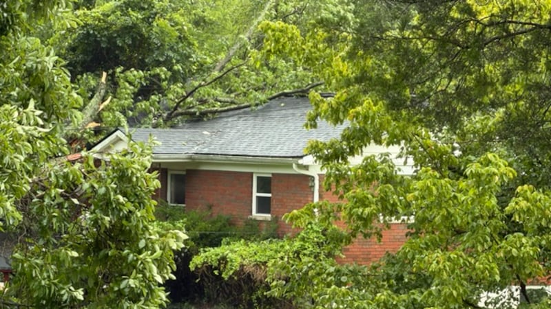 New Richmond storm damage along Wilson Dunham Road. (Photo by Jason Taggart)
