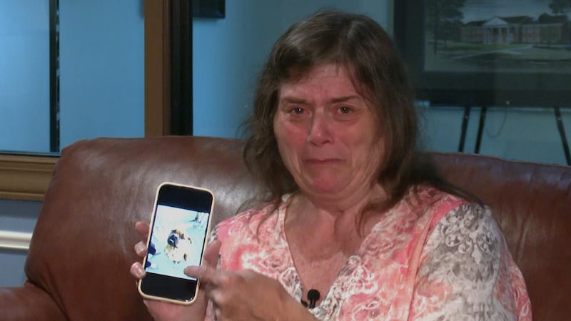 The woman said she took Buddy for a walk, but he didn’t make it home. She said the 4-year-old...