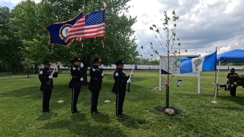 Liberty Trees are being planted across Kentucky in celebration og America 250.