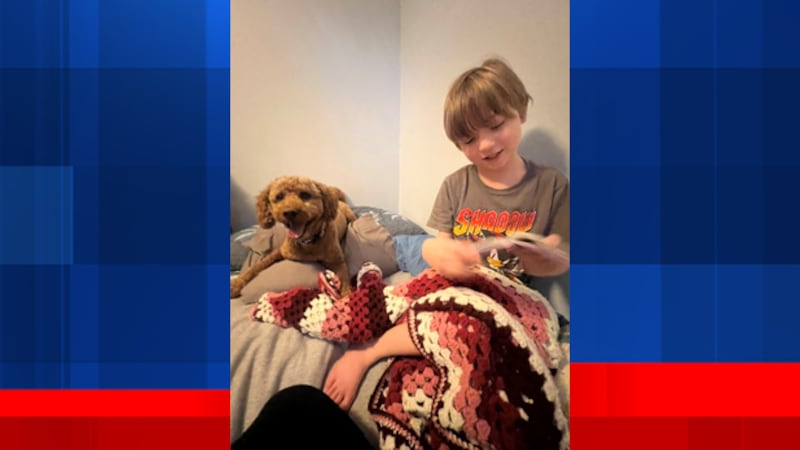7-year-old William Michael Evans-Ellis was 'tortured' and killed in early August.