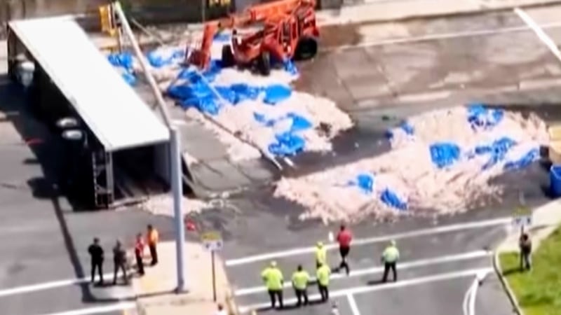 In this image taken from drone footage, workers clean squid from a roadway in Narragansett,...