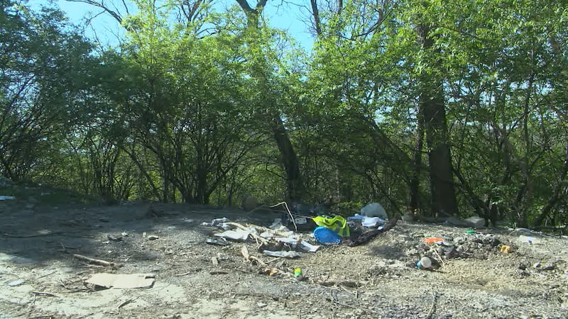 Rick Carlson says one of his properties on Knox Street is a hotspot for illegal dumping.