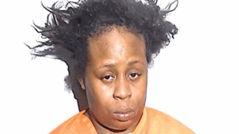 Hicks pleaded not guilty to seven child endangerment charges after driving her seven children...