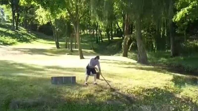 Tiffin goose killer gets two years probation, suspended sentence.