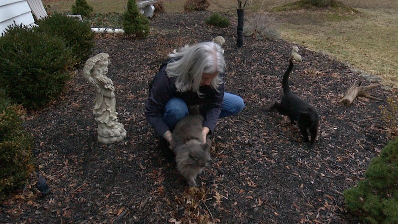 After her neighbor was convicted of shooting her cat with a crossbow, one Toledo woman feels...