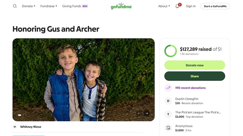 Family members identified the brothers as Gus Niese, 10, and Archer Niese, 9.