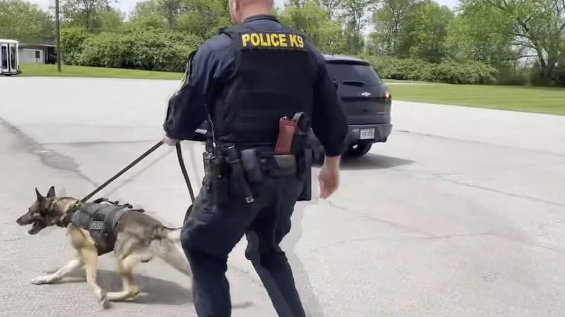 Law enforcement officials say that following last November's passing of Issue 2, most dogs...
