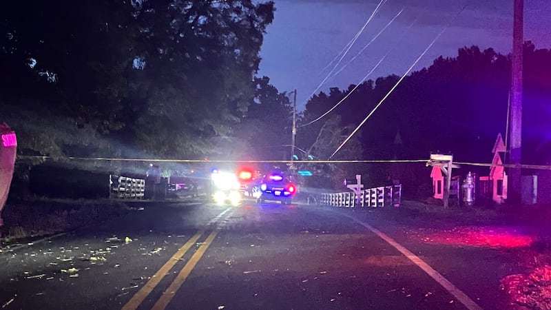 A fatality was reported after a large tree limb fell on a car in Cherokee County.