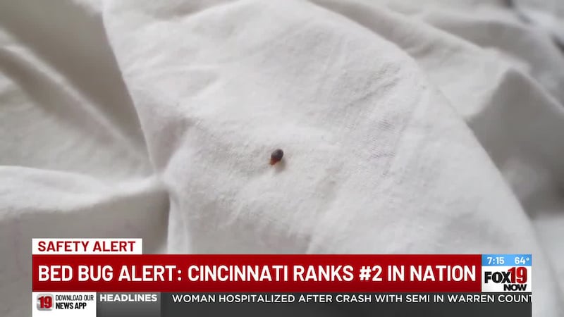 Bed Bug Alert: Cincinnati ranks No. 2 in the nation