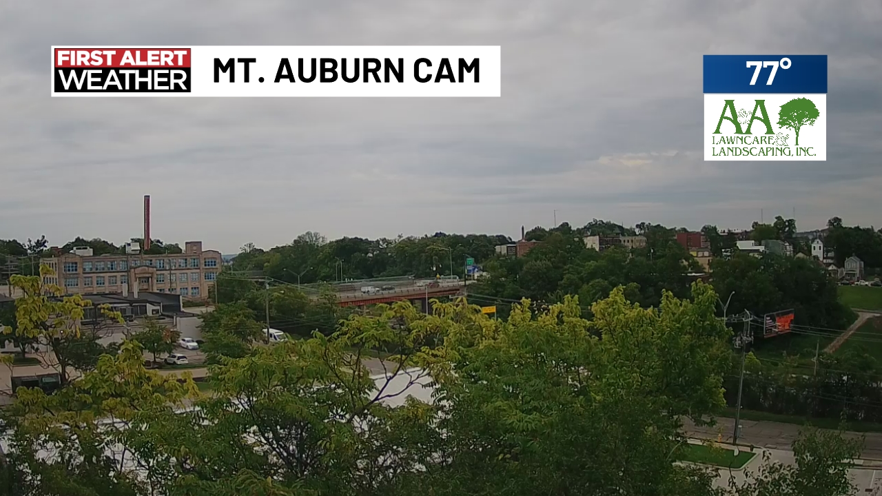 Mt. Auburn Cam
